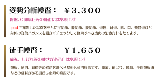 姿勢分析検査：￥3,300　骨盤、Ｏ脚矯正等の施術には必須です。ipadで撮影した写真をもとに足関節、膝関節、股関節、骨盤、背骨、肩、首、頭蓋骨など身体の姿勢バランスを細かくチェックして施術すべき筋肉の治療方針をたてます。徒手検査：￥1,650　痛み、しびれ等の症状がある方は必須です。神経、筋肉、靭帯等の以上を調べる整形外科的検査です。腰痛、肩こり、膝痛、坐骨神経痛などの症状がある場合は必須の検査です。