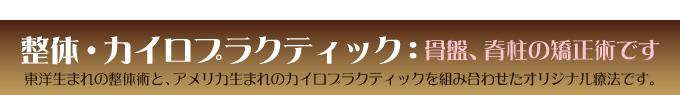 "整体・カイロプラクティック：骨盤、脊柱の矯正術です。東洋生まれの整体術と、アメリカ生まれのカイロプラクティックを組み合わせたオリジナル療法です。