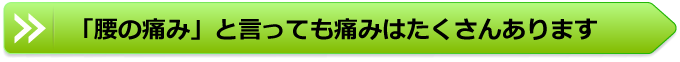 「腰の痛み」と言っても痛みはたくさんあります